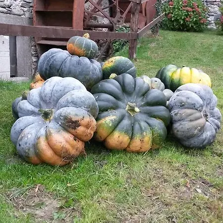 Il Mulino Отель типа 